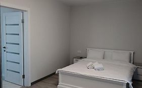Apartments Domovik Квартира на двох, в центрі міста